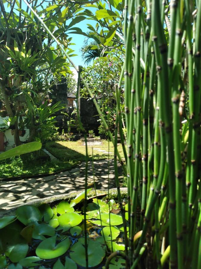 Serongga guest house Lebih Bagian luar foto