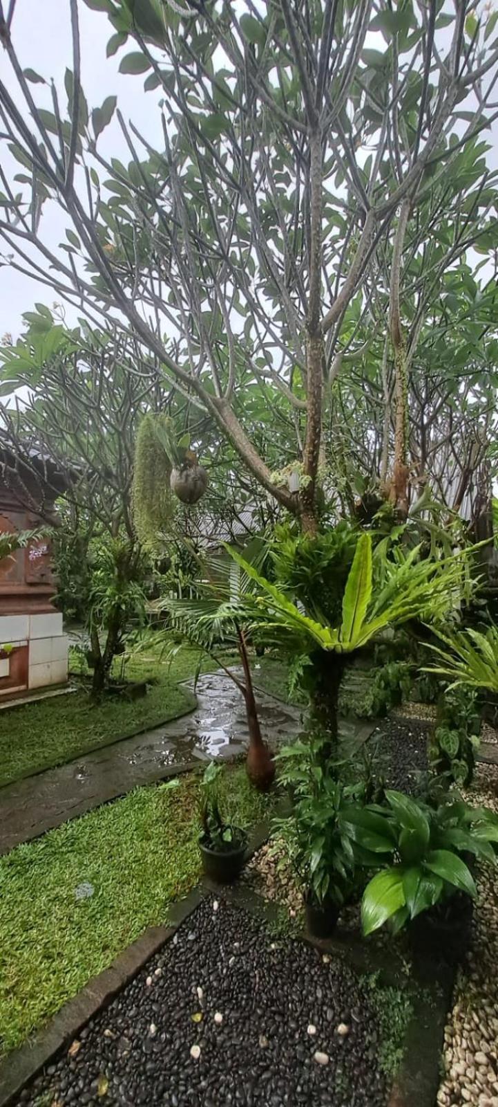 Serongga guest house Lebih Bagian luar foto